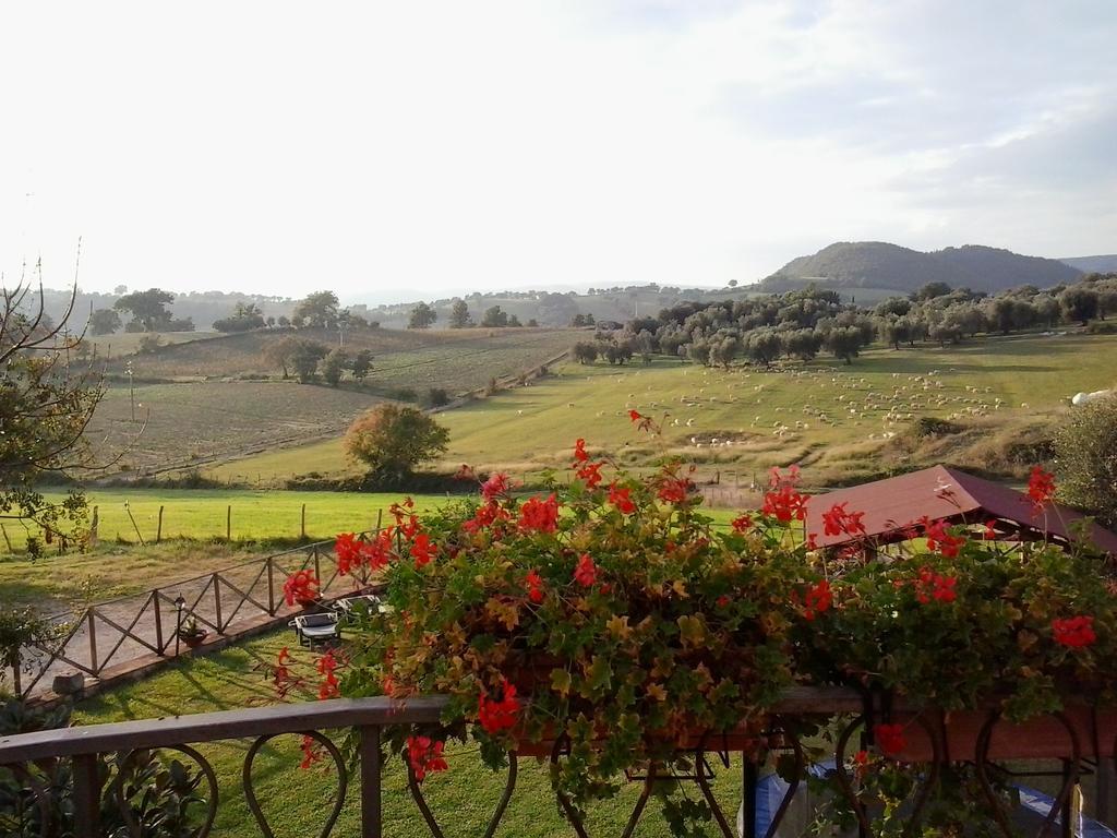 Agriturismo La Valle Degli Ulivi Semproniano المظهر الخارجي الصورة