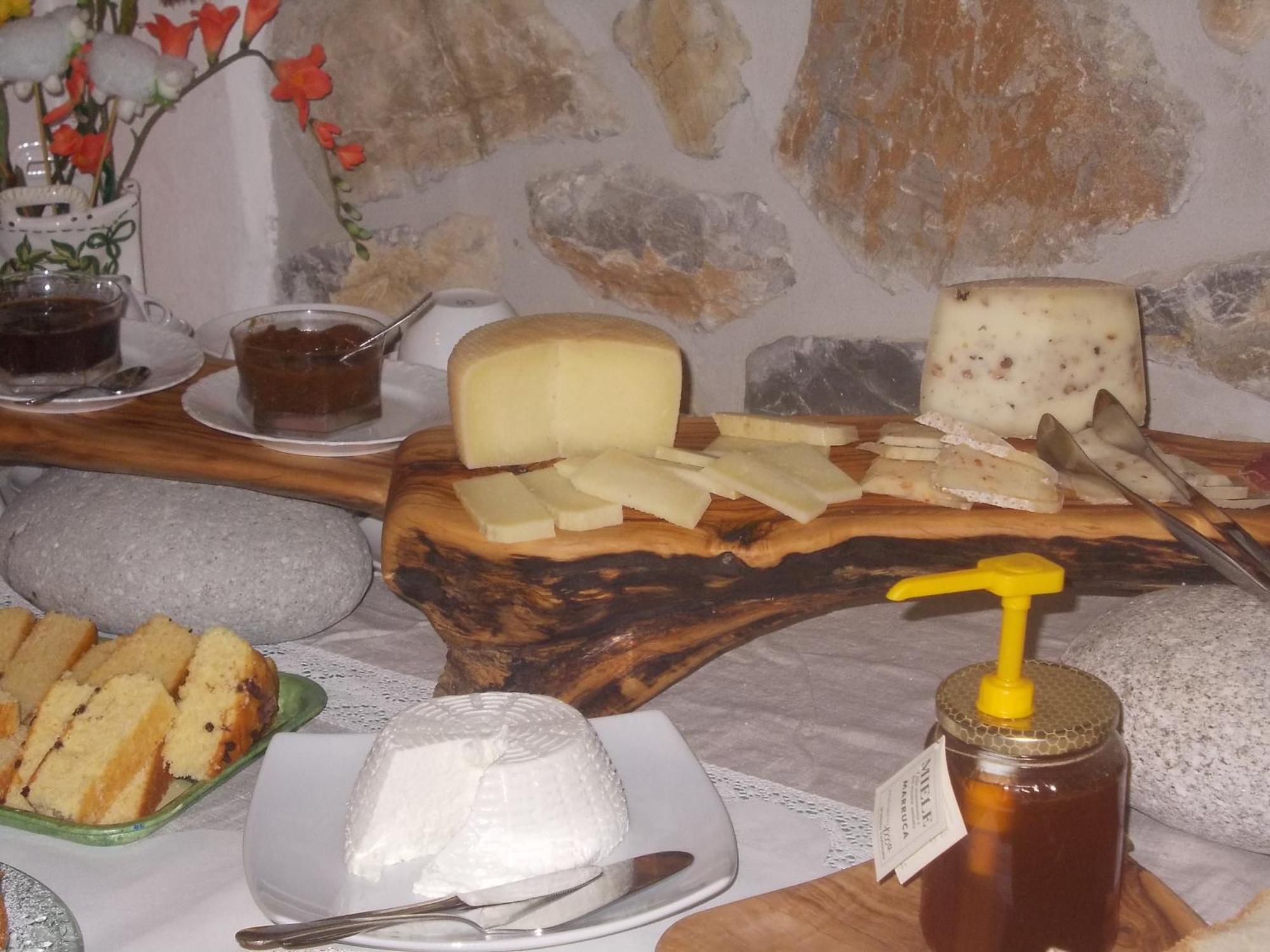 Agriturismo La Valle Degli Ulivi Semproniano المظهر الخارجي الصورة