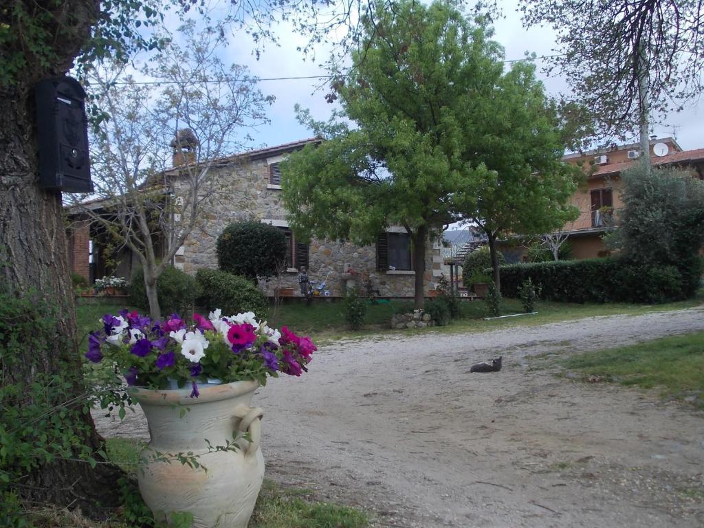 Agriturismo La Valle Degli Ulivi Semproniano المظهر الخارجي الصورة